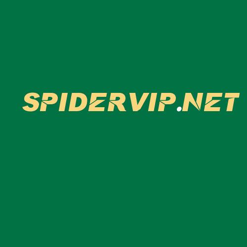 Logo da SPIDERVIP.NET